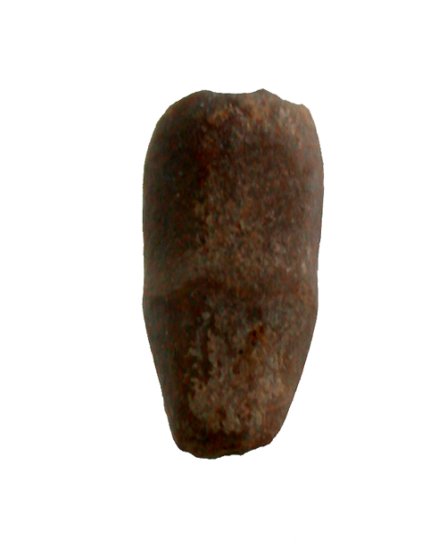 Devon Bactocrinites fusiformis Seltene Crinoide Weinsheim Eifel 3413 eBay